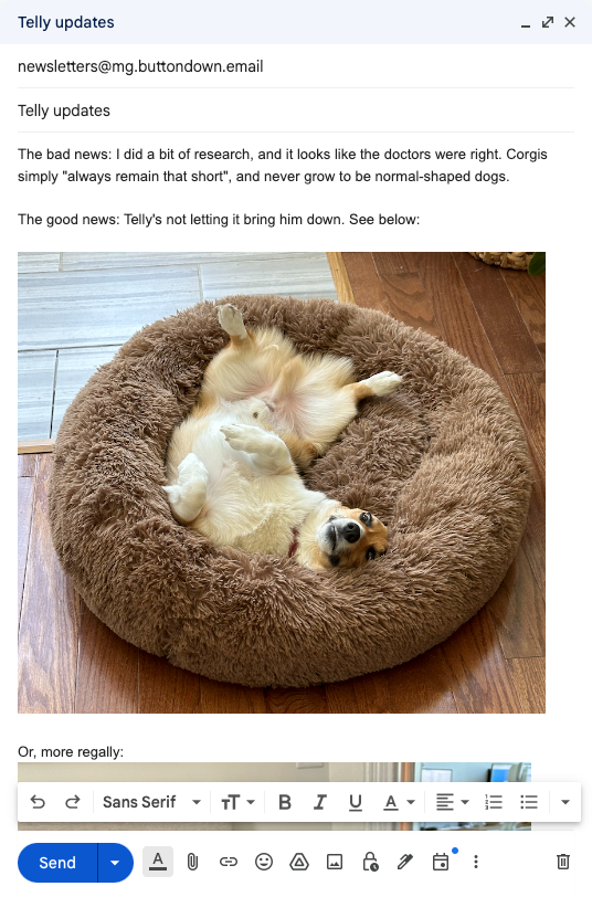 A screenshot of the Gmail desktop interface, writing a letter to `newsletters@mg.buttondown.email`, featuring an image of my corgi Telemachus looking — frankly — like an absolute doofus.